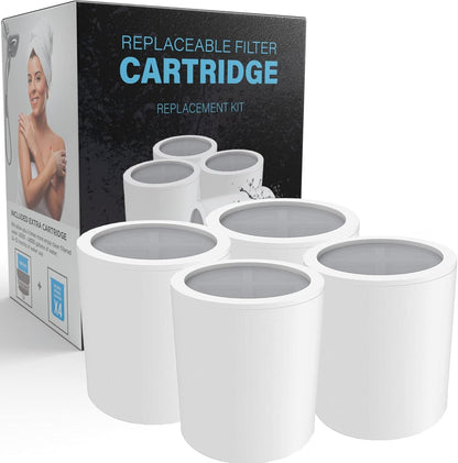 Aqua Earth 4-pack replacement shower filter cartridges with packaging box displayed