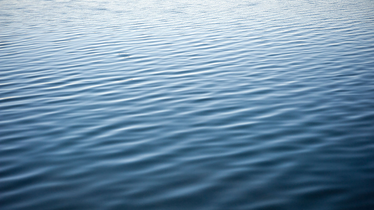 Ripples on a lake, background for Section about Aqua Earth health and wellness articles.